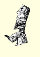 WÄCHTER